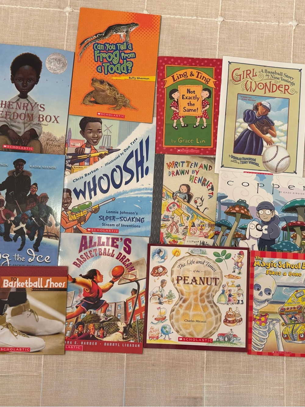 NEW!  Bundle of 12 scholastic books